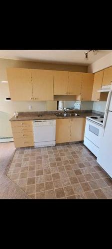 311-1632 Saamis Drive Nw, Medicine Hat, AB - Indoor Photo Showing Kitchen With Double Sink