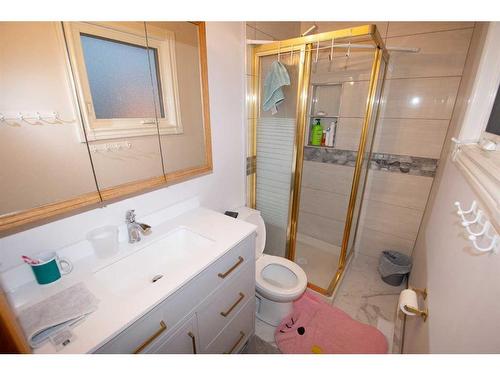 102 Calder Crescent Se, Medicine Hat, AB - Indoor Photo Showing Bathroom