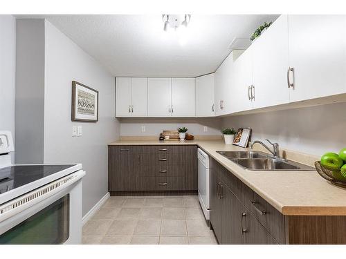 302 6 Street Se, Redcliff, AB - Indoor Photo Showing Kitchen With Double Sink