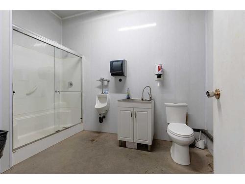 102082 Range Road 123, Rural Forty Mile No. 8, County Of, AB - Indoor Photo Showing Bathroom