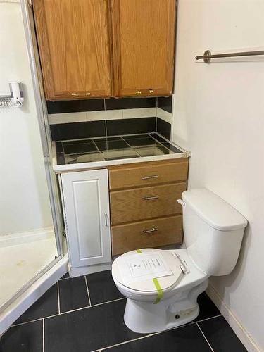 333 1 Street Sw, Redcliff, AB - Indoor Photo Showing Bathroom