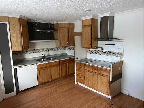 333 1 Street Sw, Redcliff, AB - Indoor Photo Showing Kitchen With Double Sink