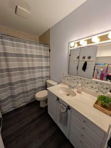 45 Red Deer Drive Sw, Medicine Hat, AB - Indoor Photo Showing Bathroom