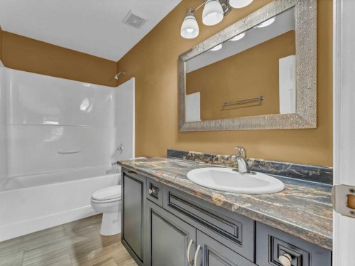 356 Somerside Crescent Se, Medicine Hat, AB - Indoor Photo Showing Bathroom