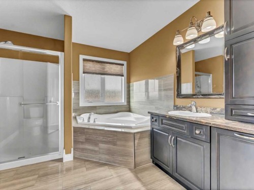 356 Somerside Crescent Se, Medicine Hat, AB - Indoor Photo Showing Bathroom