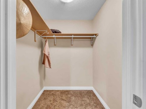 356 Somerside Crescent Se, Medicine Hat, AB - Indoor With Storage