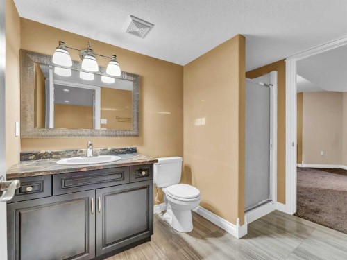 356 Somerside Crescent Se, Medicine Hat, AB - Indoor Photo Showing Bathroom