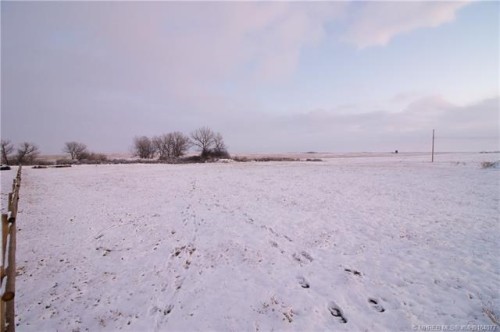 5-13027 Range Road 50, Rural Cypress County, AB 