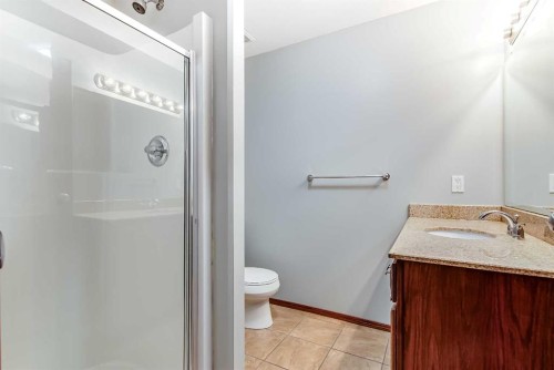 1048 Eagle Ridge Drive, Dunmore, AB - Indoor Photo Showing Bathroom