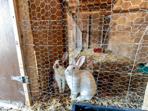 1-13402 Range Road 75, Rural Cypress County, AB - Indoor