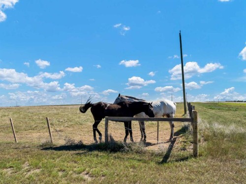 1-13402 Range Road 75, Rural Cypress County, AB - Outdoor With View