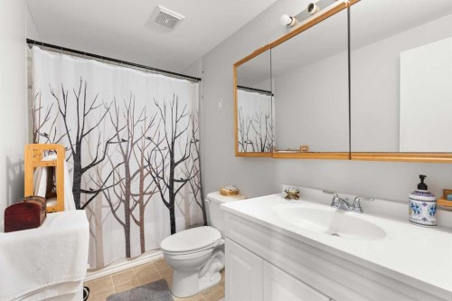 428 6 Street, Suffield, AB - Indoor Photo Showing Bathroom