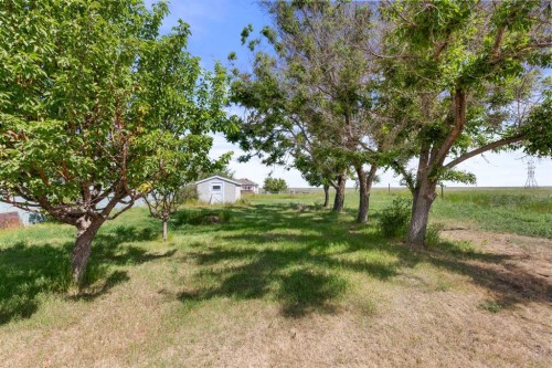 428 6 Street, Suffield, AB - Outdoor