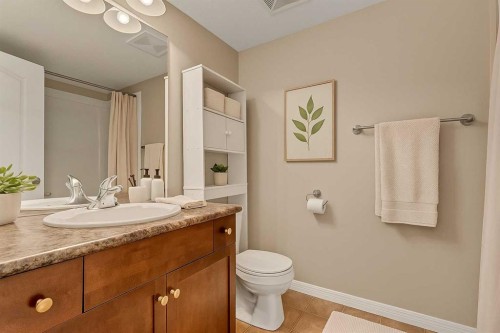 11-298 Somerset Way Se, Medicine Hat, AB - Indoor Photo Showing Bathroom