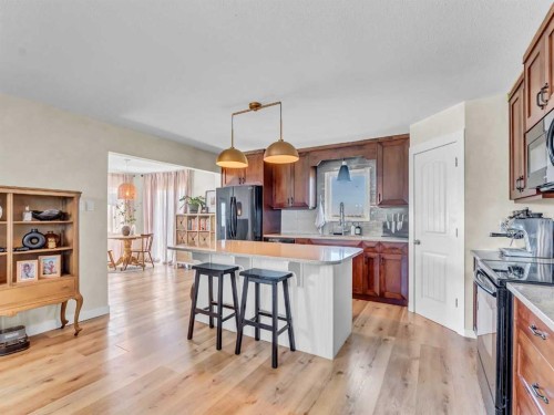 9-12301 Range Road 51A, Rural Cypress County, AB - Indoor Photo Showing Kitchen With Upgraded Kitchen