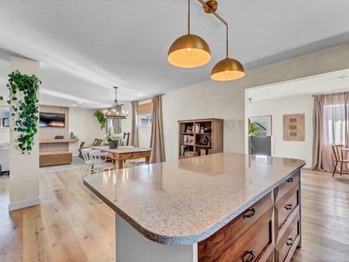 9-12301 Range Road 51A, Rural Cypress County, AB - Indoor