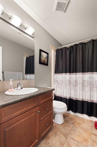 404 Jesmond Place Sw, Redcliff, AB - Indoor Photo Showing Bathroom