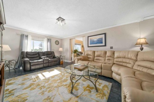 12323 Range Road 74, Rural Cypress County, AB - Indoor Photo Showing Living Room
