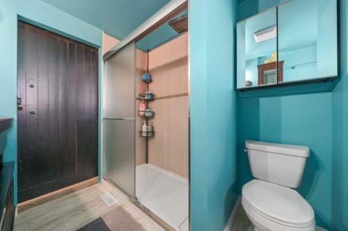 12323 Range Road 74, Rural Cypress County, AB - Indoor Photo Showing Bathroom