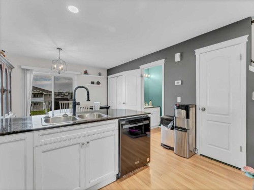 104 Northlands Pointe Ne, Medicine Hat, AB - Indoor Photo Showing Kitchen With Double Sink