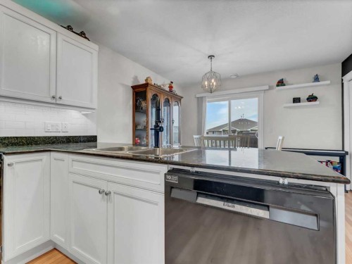 104 Northlands Pointe Ne, Medicine Hat, AB - Indoor Photo Showing Kitchen With Double Sink