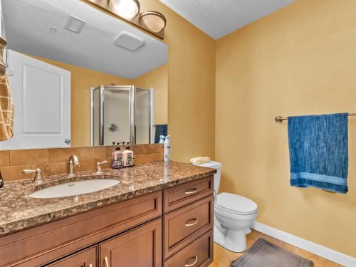 322-19 Terrace View Ne, Medicine Hat, AB - Indoor Photo Showing Bathroom