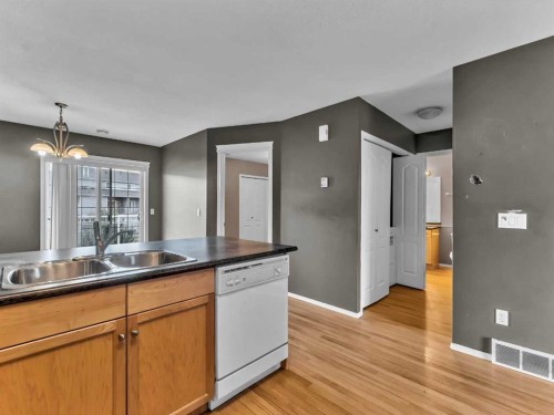 29 Northlands Lane Ne, Medicine Hat, AB - Indoor Photo Showing Kitchen With Double Sink