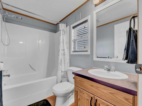 2-12006 Range Road 43, Rural Cypress County, AB - Indoor Photo Showing Bathroom