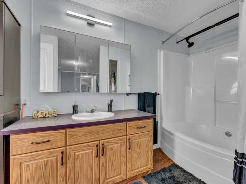 2-12006 Range Road 43, Rural Cypress County, AB - Indoor Photo Showing Bathroom