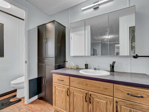 2-12006 Range Road 43, Rural Cypress County, AB - Indoor Photo Showing Bathroom