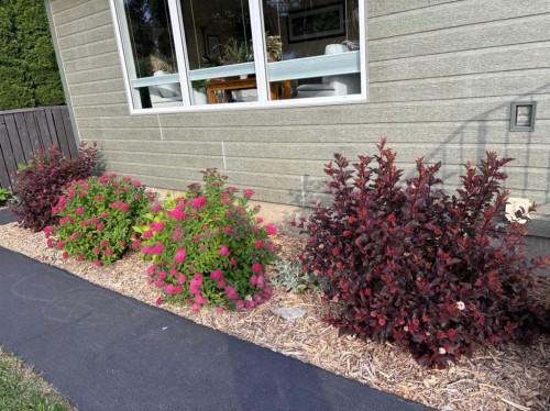 106 Rossland Road Se, Medicine Hat, AB - Outdoor