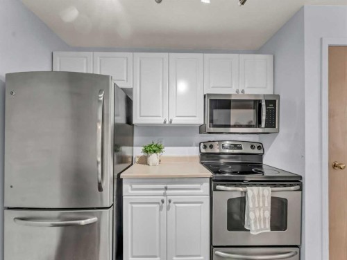 101-245 Red Deer Drive Sw, Medicine Hat, AB - Indoor Photo Showing Kitchen With Stainless Steel Kitchen