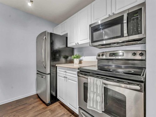101-245 Red Deer Drive Sw, Medicine Hat, AB - Indoor Photo Showing Kitchen With Stainless Steel Kitchen