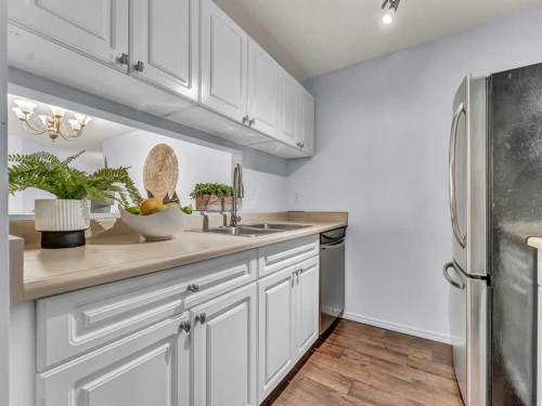 101-245 Red Deer Drive Sw, Medicine Hat, AB - Indoor Photo Showing Kitchen With Double Sink