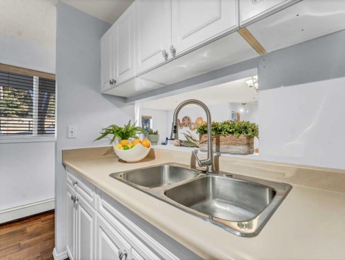 101-245 Red Deer Drive Sw, Medicine Hat, AB - Indoor Photo Showing Kitchen With Double Sink