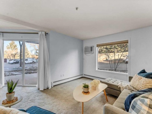 101-245 Red Deer Drive Sw, Medicine Hat, AB - Indoor Photo Showing Living Room