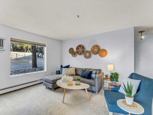 101-245 Red Deer Drive Sw, Medicine Hat, AB - Indoor Photo Showing Living Room