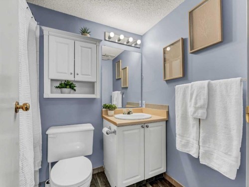 101-245 Red Deer Drive Sw, Medicine Hat, AB - Indoor Photo Showing Bathroom
