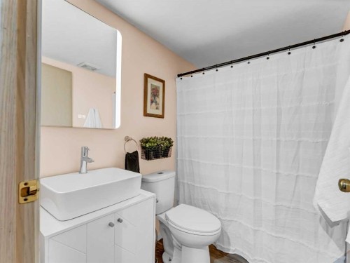 101-245 Red Deer Drive Sw, Medicine Hat, AB - Indoor Photo Showing Bathroom