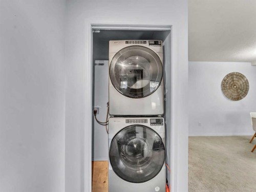 101-245 Red Deer Drive Sw, Medicine Hat, AB - Indoor Photo Showing Laundry Room