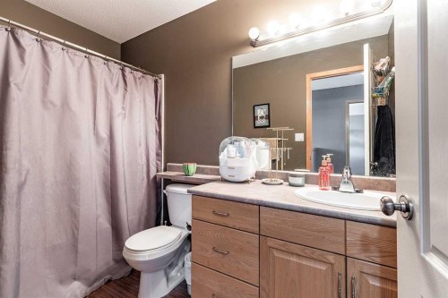 484 Stark Way Se, Medicine Hat, AB - Indoor Photo Showing Bathroom