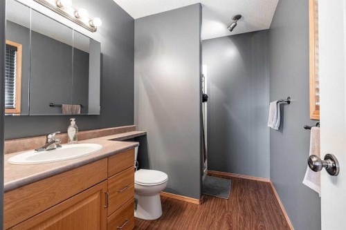 484 Stark Way Se, Medicine Hat, AB - Indoor Photo Showing Bathroom