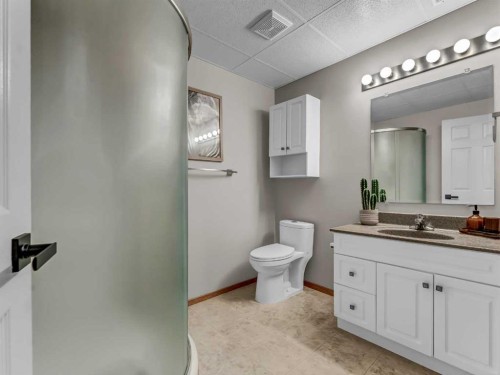 28 Stark Mews Se, Medicine Hat, AB - Indoor Photo Showing Bathroom