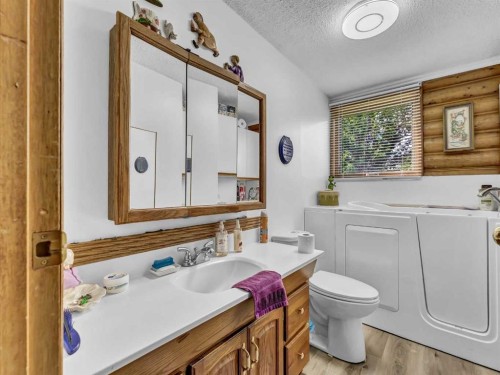 12228 Range Road 64, Rural Cypress County, AB - Indoor Photo Showing Bathroom