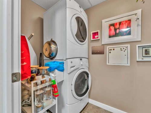 121-19 Terrace View Ne, Medicine Hat, AB - Indoor Photo Showing Laundry Room