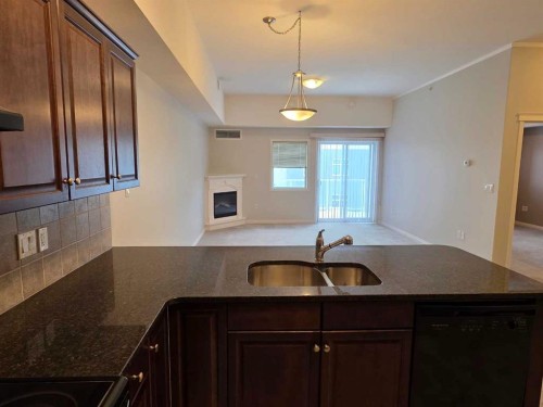 409-2800 13 Avenue Se, Medicine Hat, AB - Indoor Photo Showing Kitchen With Double Sink