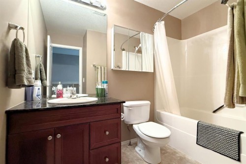 29 Somerset Lane Se, Medicine Hat, AB - Indoor Photo Showing Bathroom