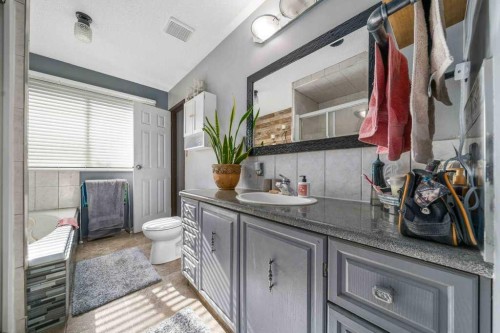 938 5 Street Se, Redcliff, AB - Indoor Photo Showing Bathroom