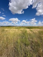 Lot 7-12003 Range Road 60A  Rural Cypress County, AB T1A 0H5