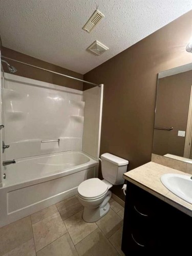 260 Sierra Drive Sw, Medicine Hat, AB - Indoor Photo Showing Bathroom